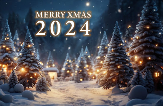 Frohe Weihnachten 2024