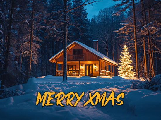 Wir wünschen frohe Weihnachten